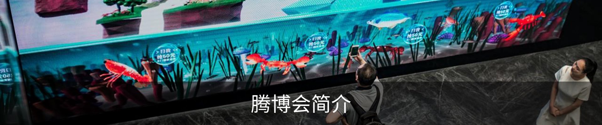 腾博会简介